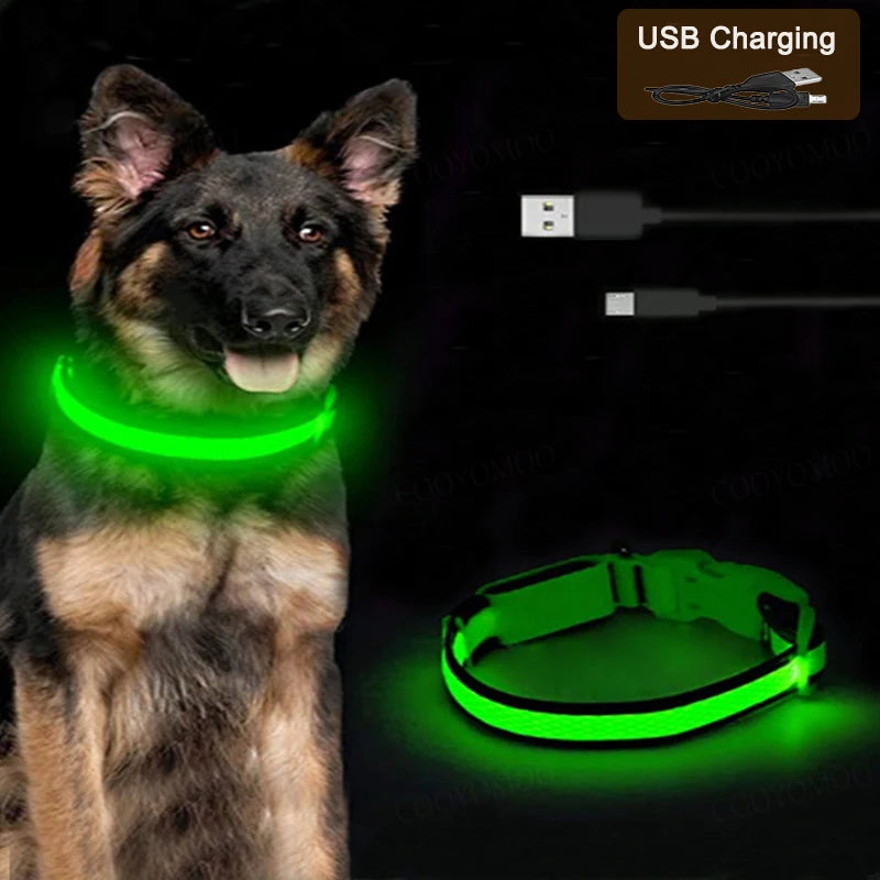 Collar luminoso LED recargable para perro - ESTIORA Mascotas