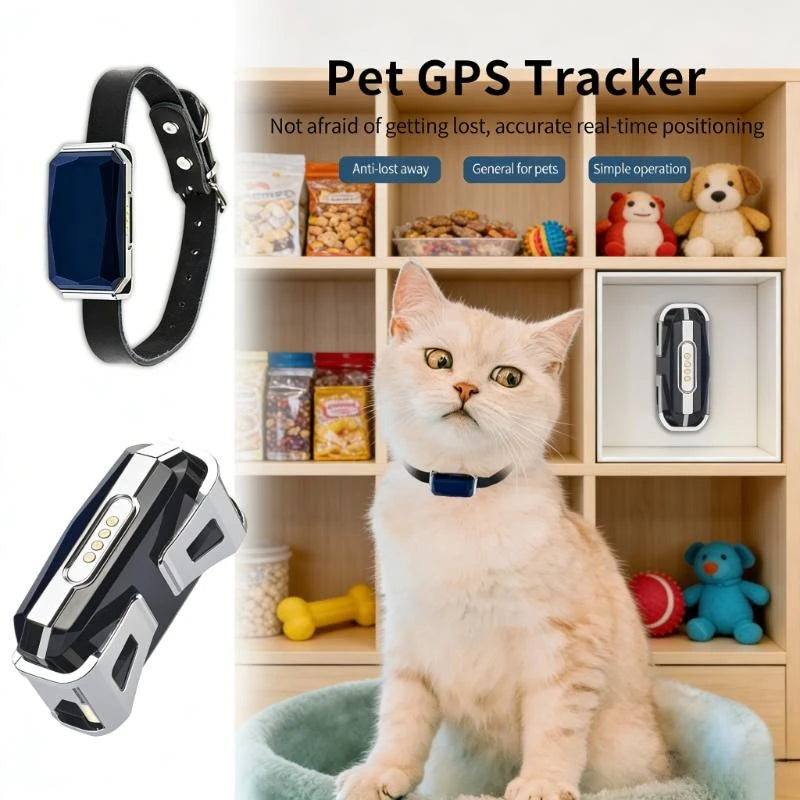 Collar con localizador GPS para perro - ESTIORA Mascotas